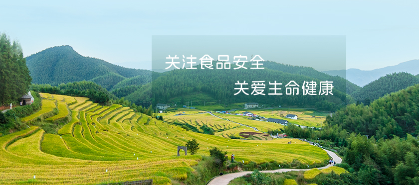 關注食品安全 關愛生命健康