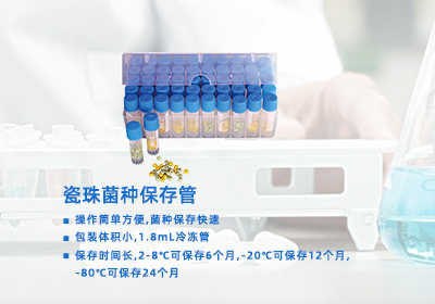瓷珠菌種保存管