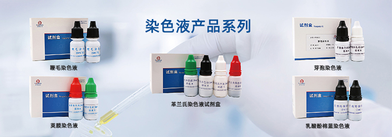 染色液產品係列